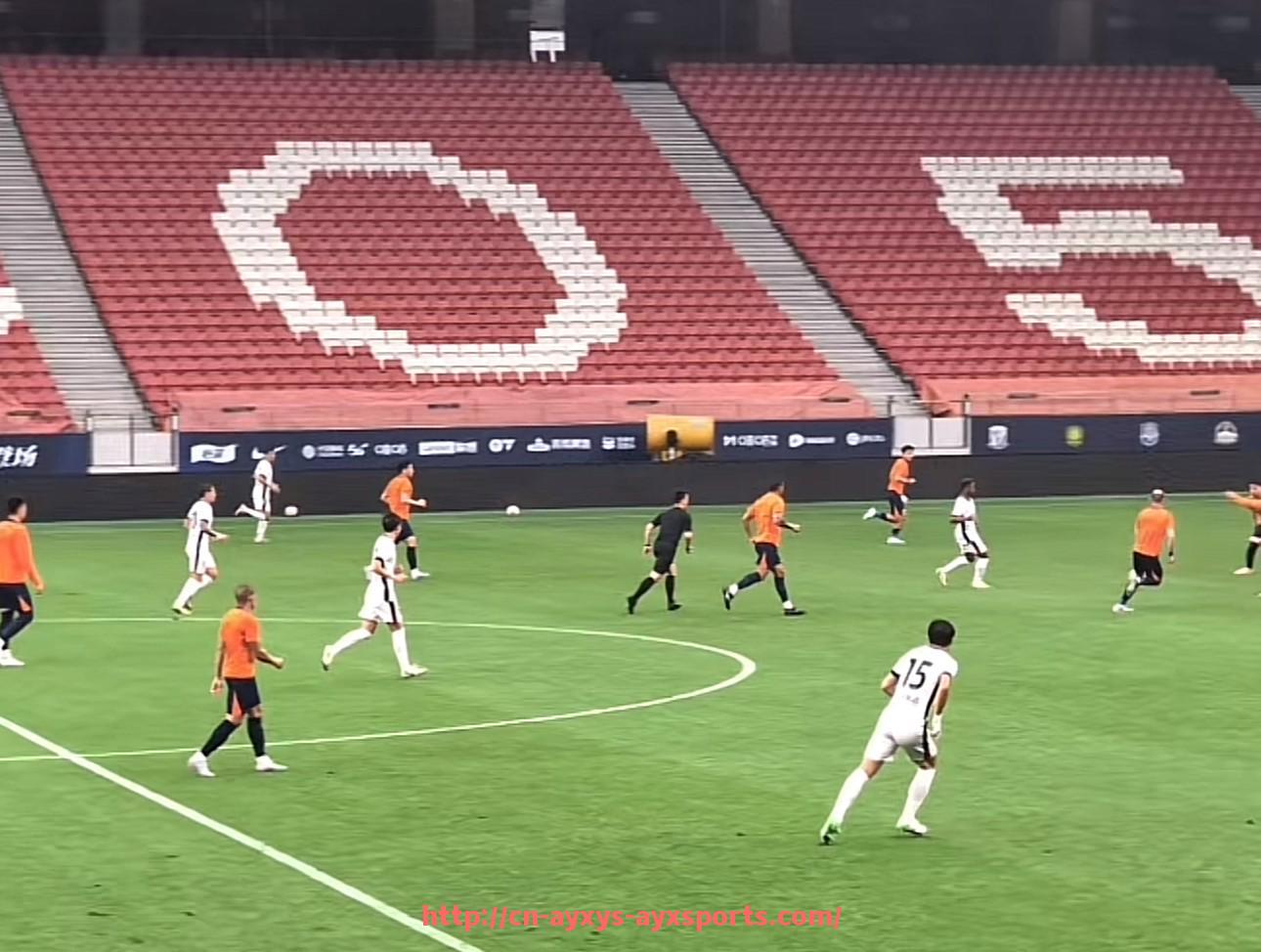 爱游戏体育-法甲球队的收入来源结构及经济状况分析