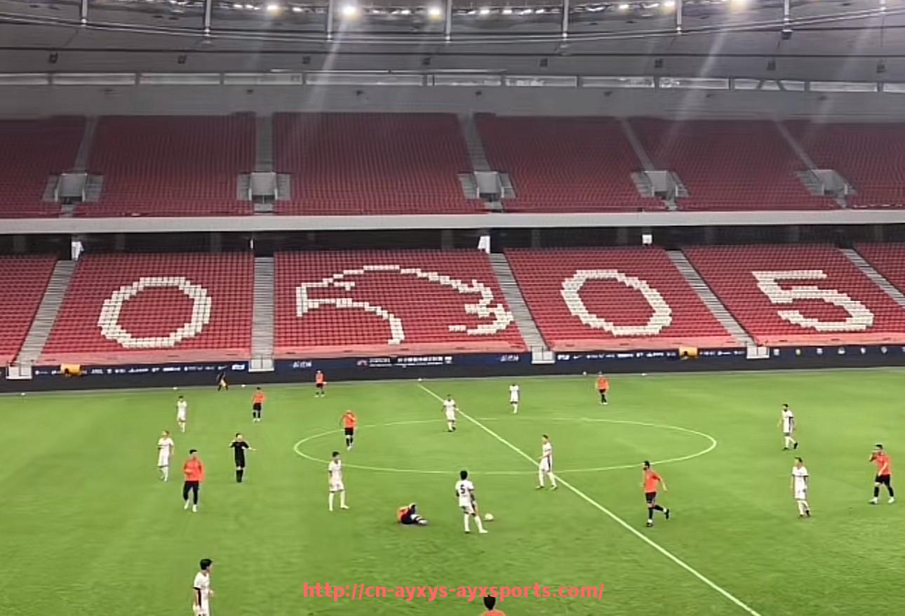 爱游戏体育-德甲最铁血球队排名，拼搏精神与防守强度全面分析