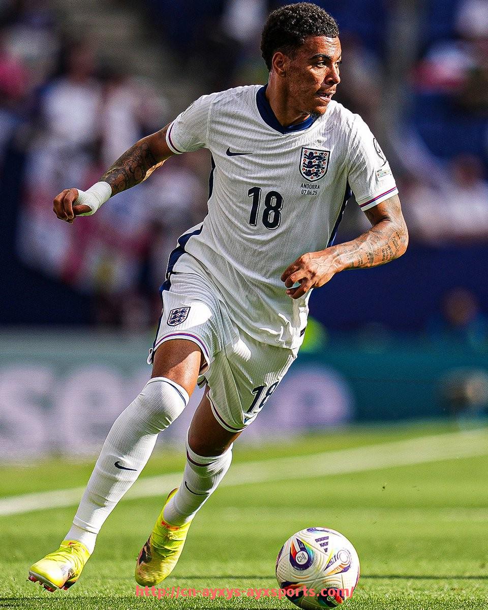 爱游戏体育-英超球队球衣设计中的蓝白配色代表队伍大全