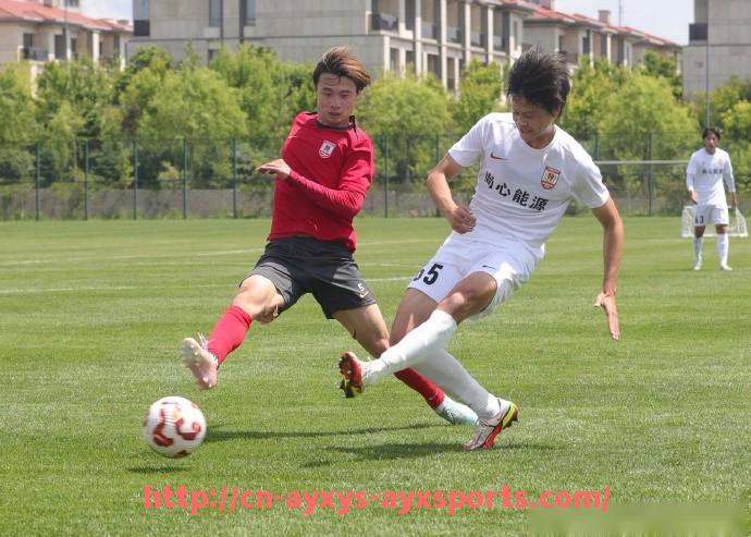 爱游戏体育-CBA有彝族足球队吗：CBA是否有彝族背景的足球队？