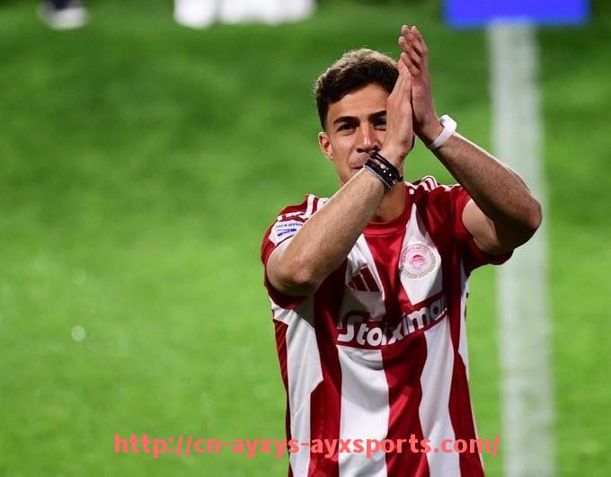 爱游戏体育-世俱杯本地交通配套方案与观众通行指南